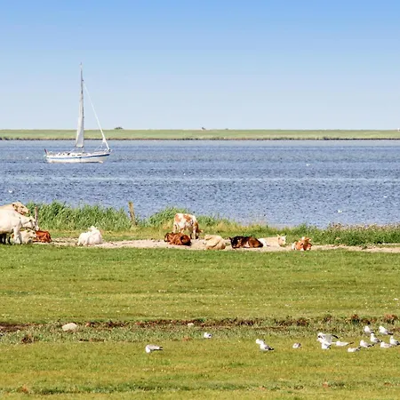 Casa de Férias Bi De Mar *